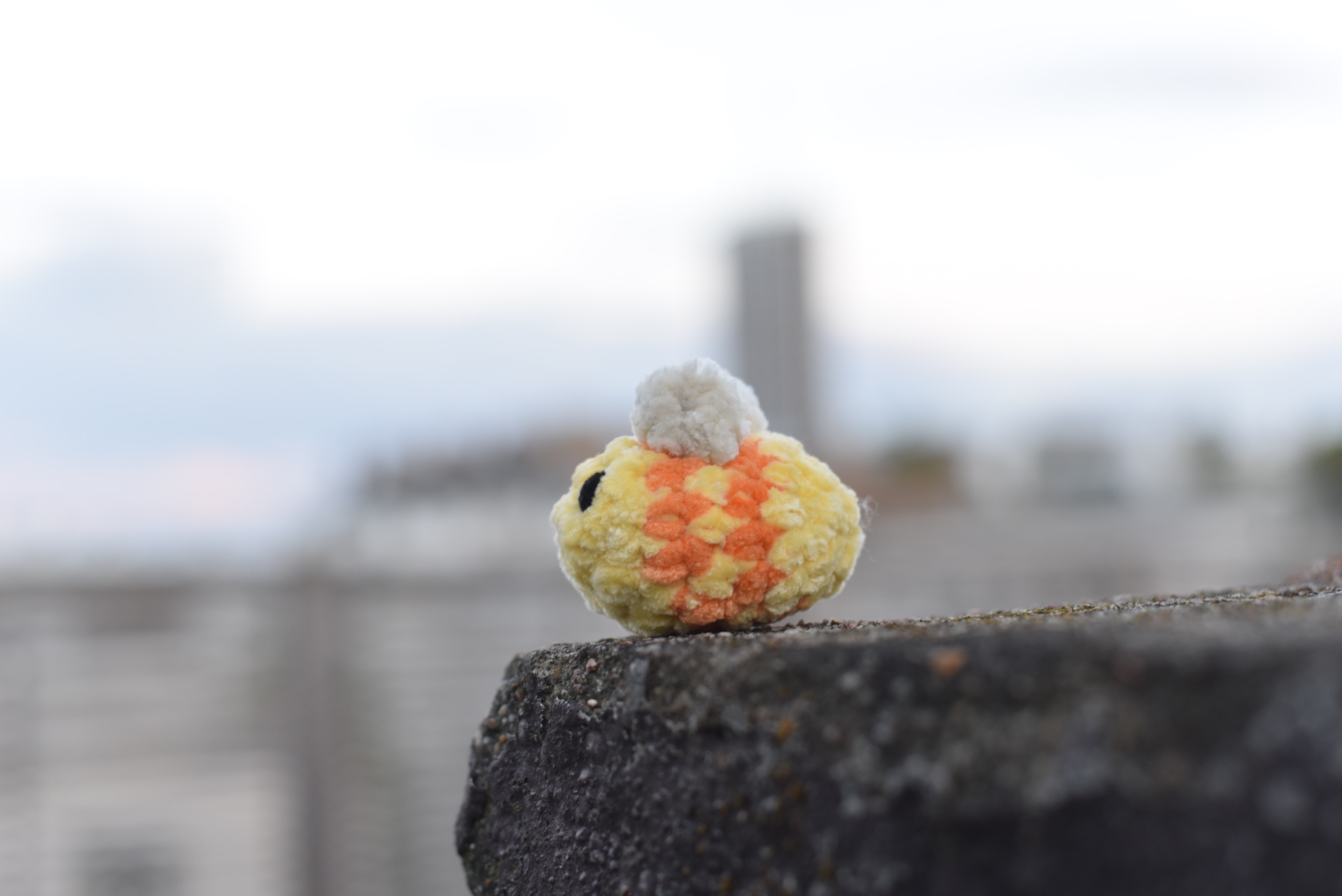 La mini Summer bee