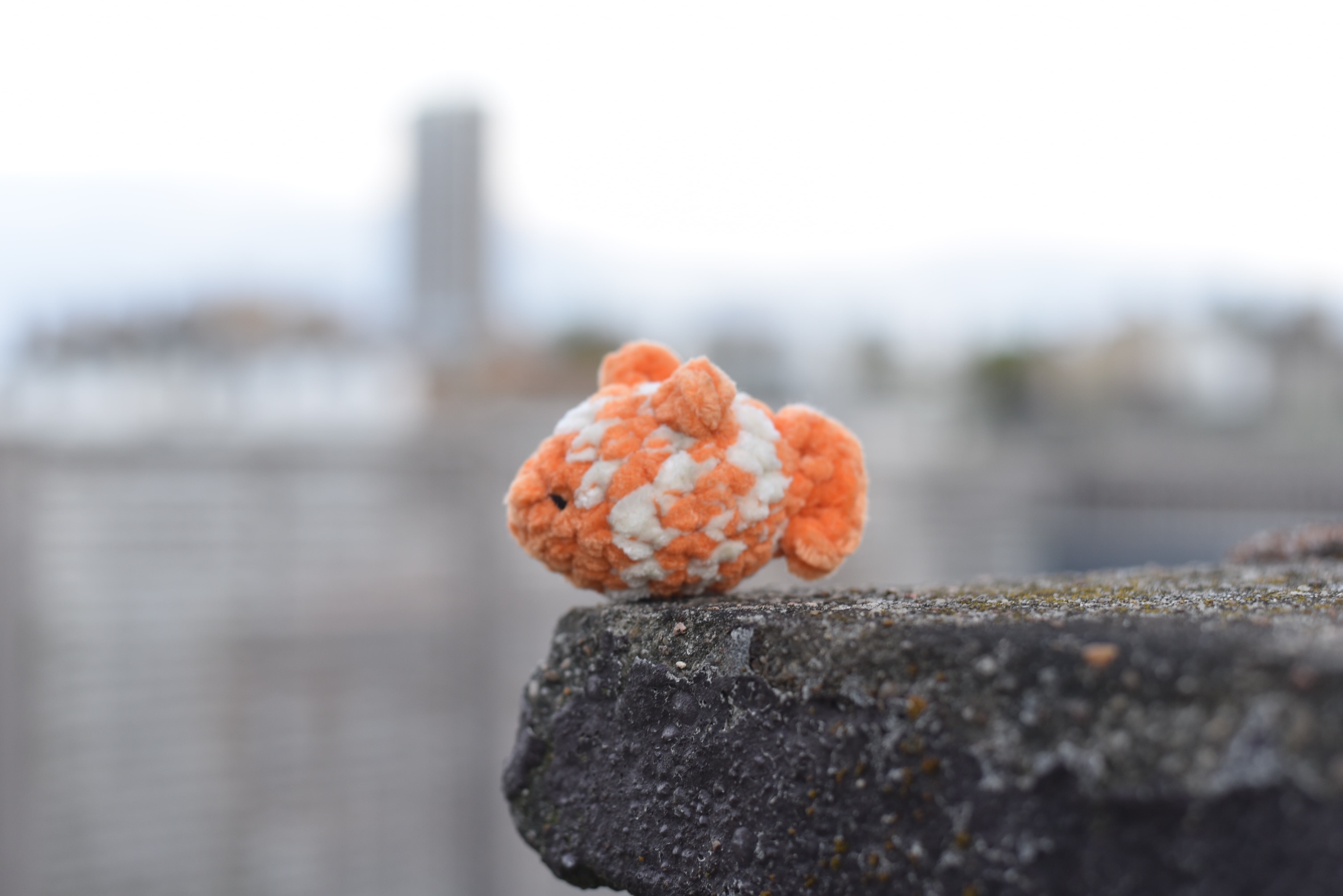 Nemo