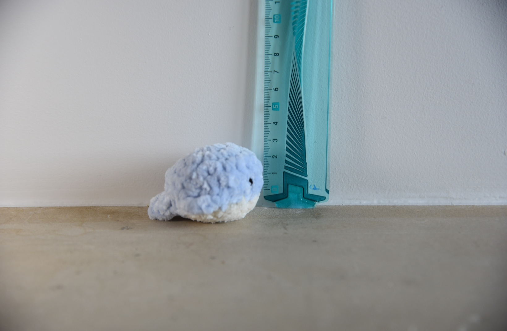 Mini baleine