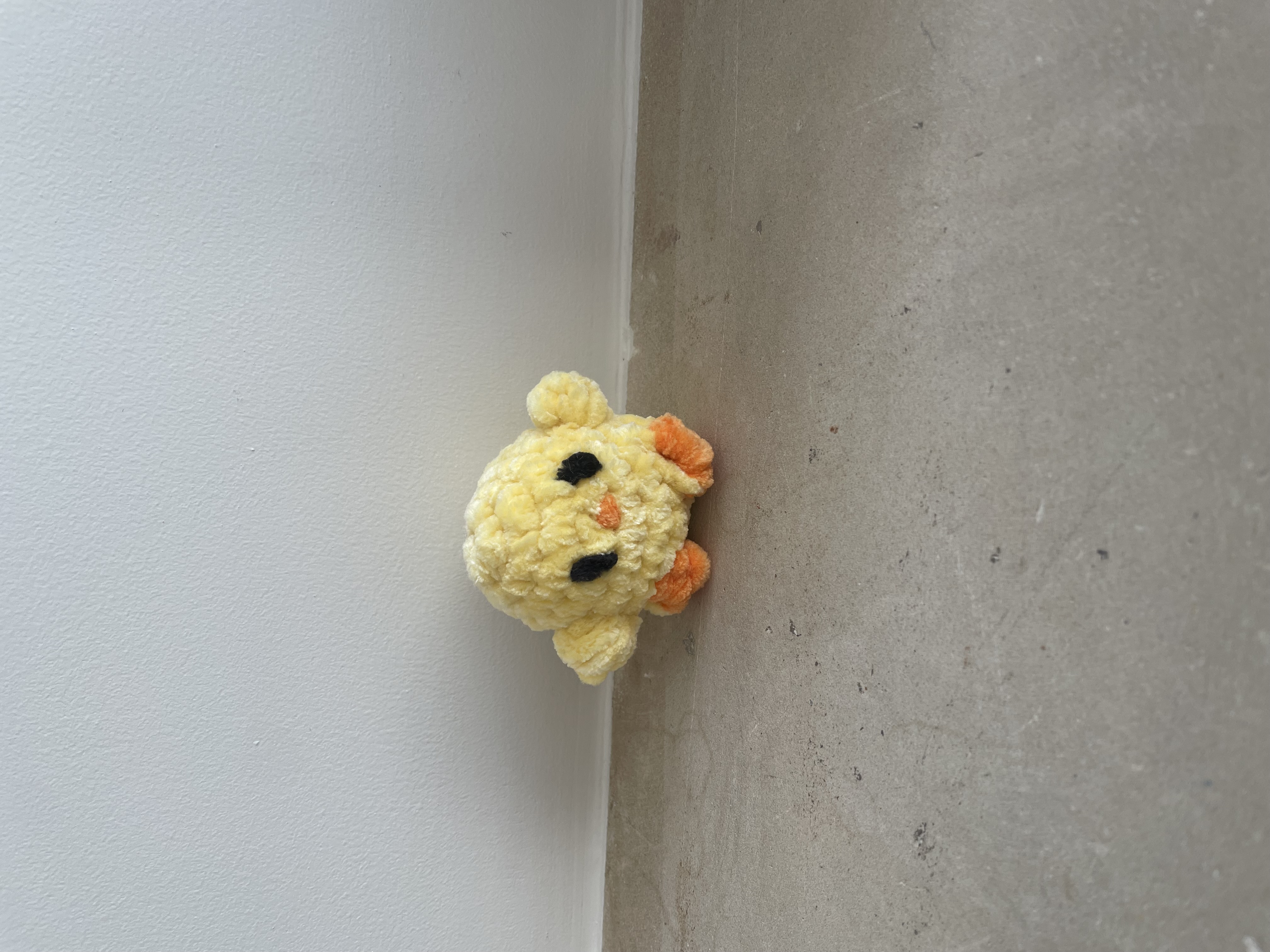 Petit poussin