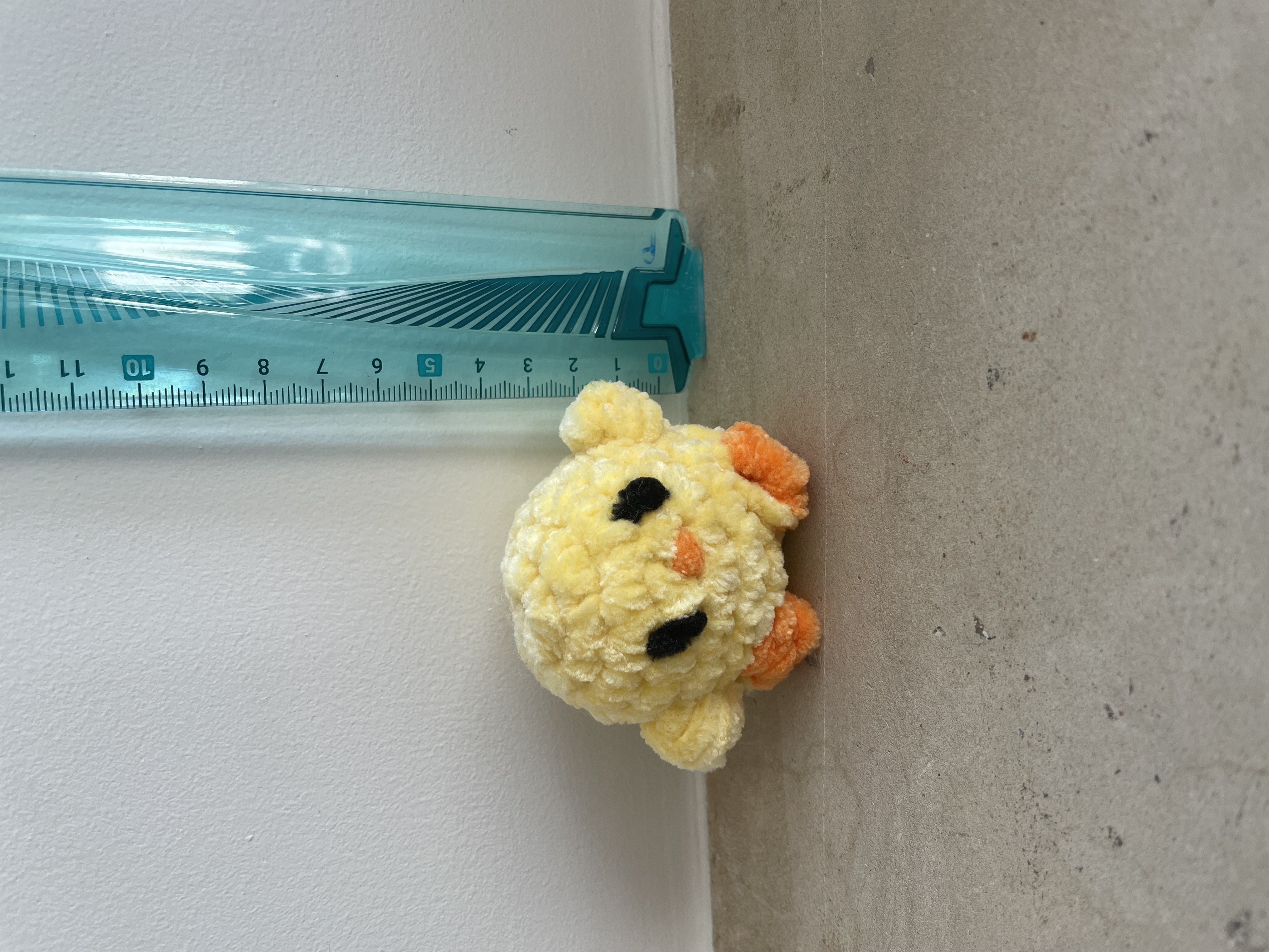 Petit poussin